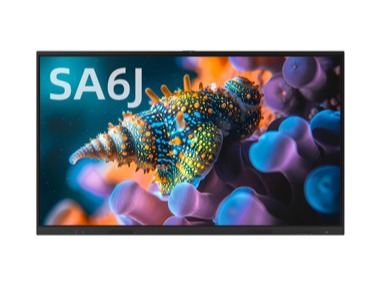 Interactive Displays